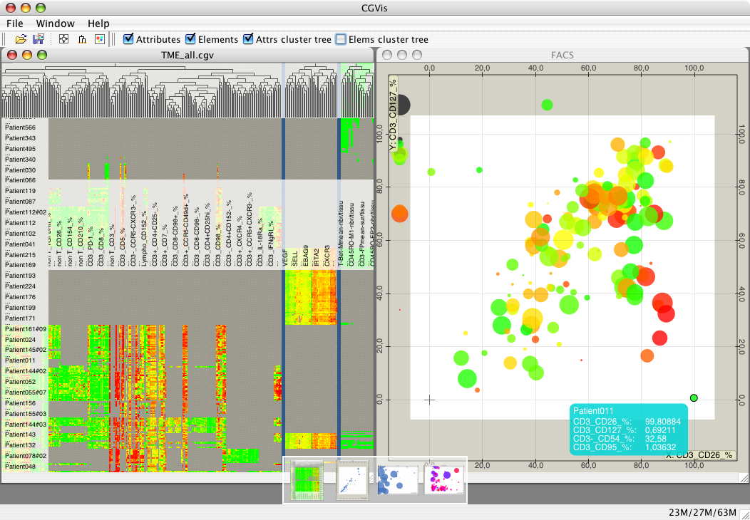 CGVis preview